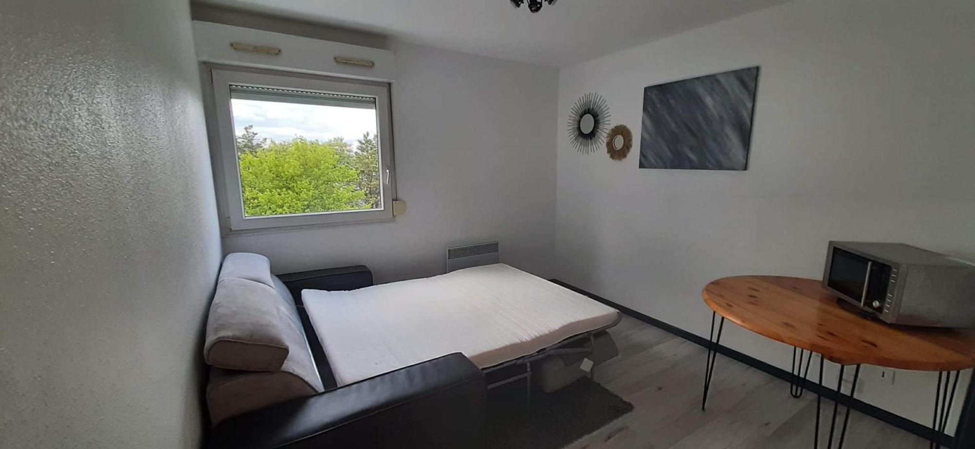 Studio Cosy Lyon Apartment Екстериор снимка